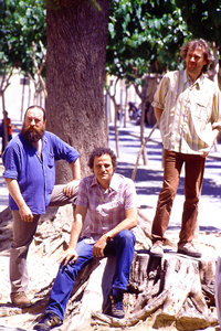 En el &aacute;rbol