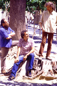 En el &aacute;rbol