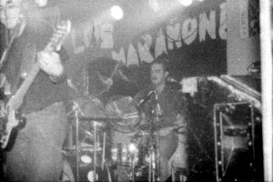 Javi y Pedr&iacute;n